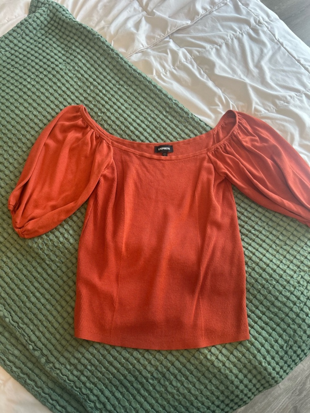 Express Off-Shoulder Puff Sleeve Top in Burnt Orange